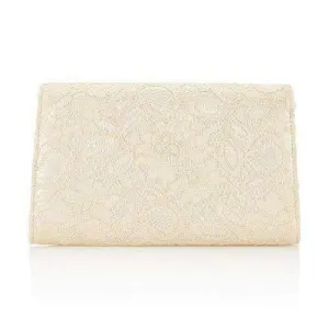 Adrianna Papell Seta Lace Small Envelope Clutch