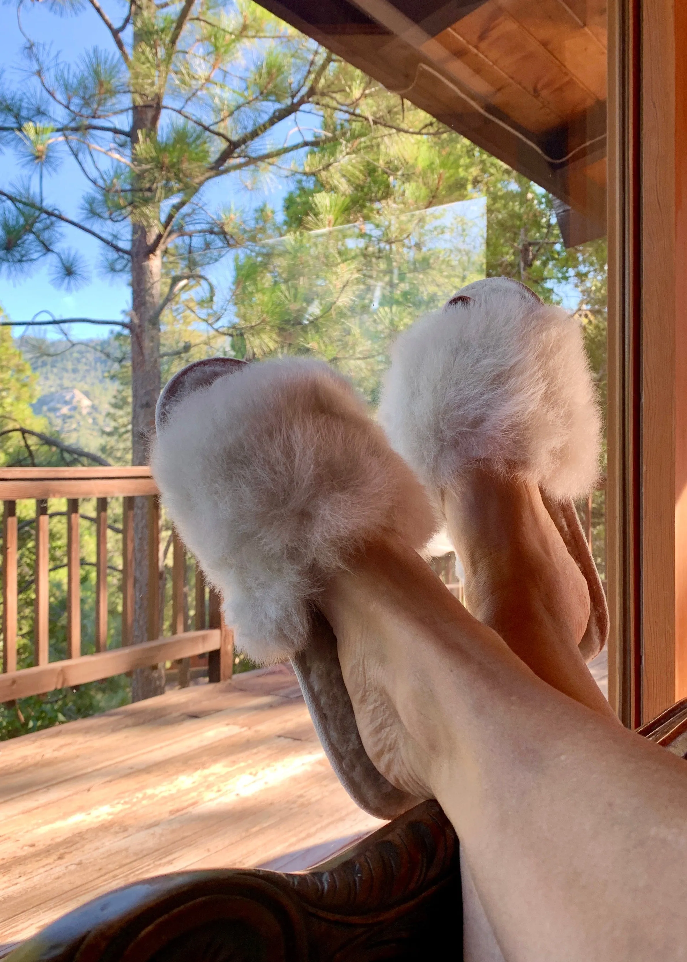 Alpaca Slipper Slides- Champagne