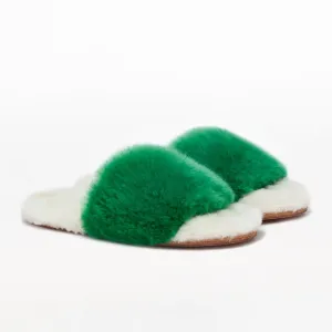 Amazon Green Slider
