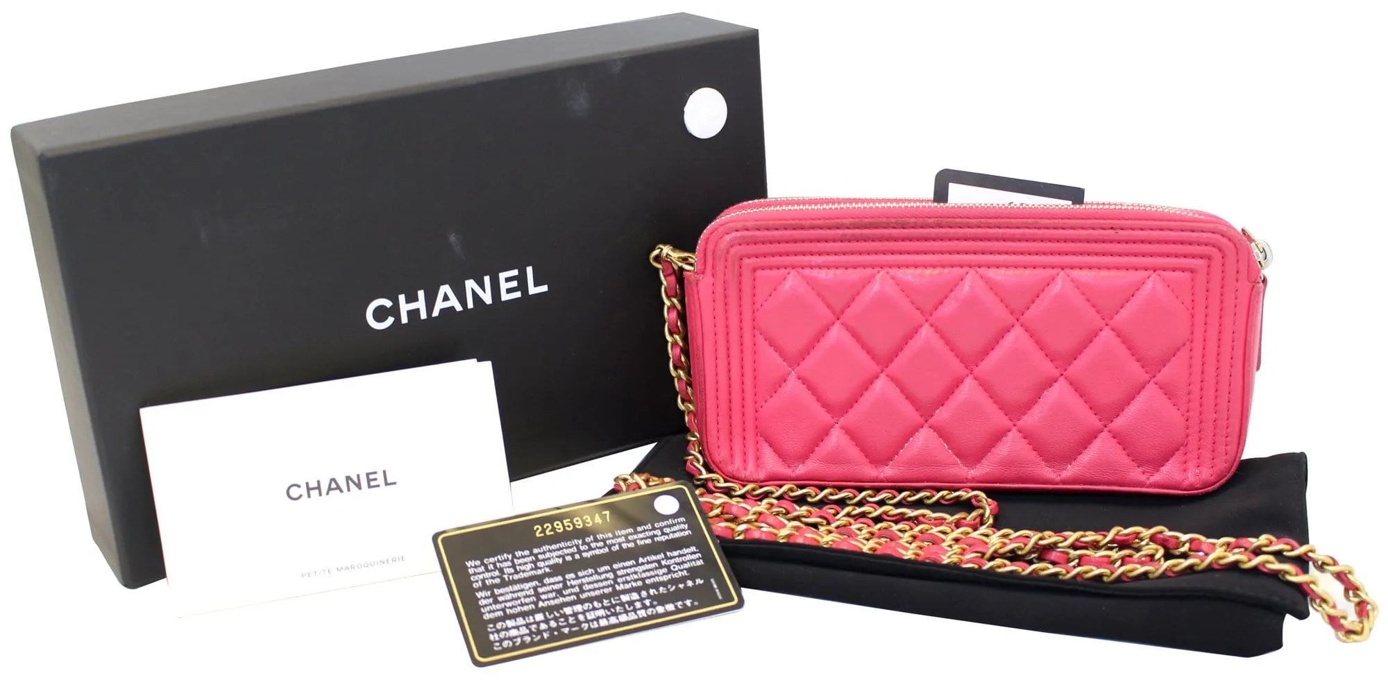 Chanel Le Boy Wallet on Chain Woc Double Zip Clutch Crossbody Bag