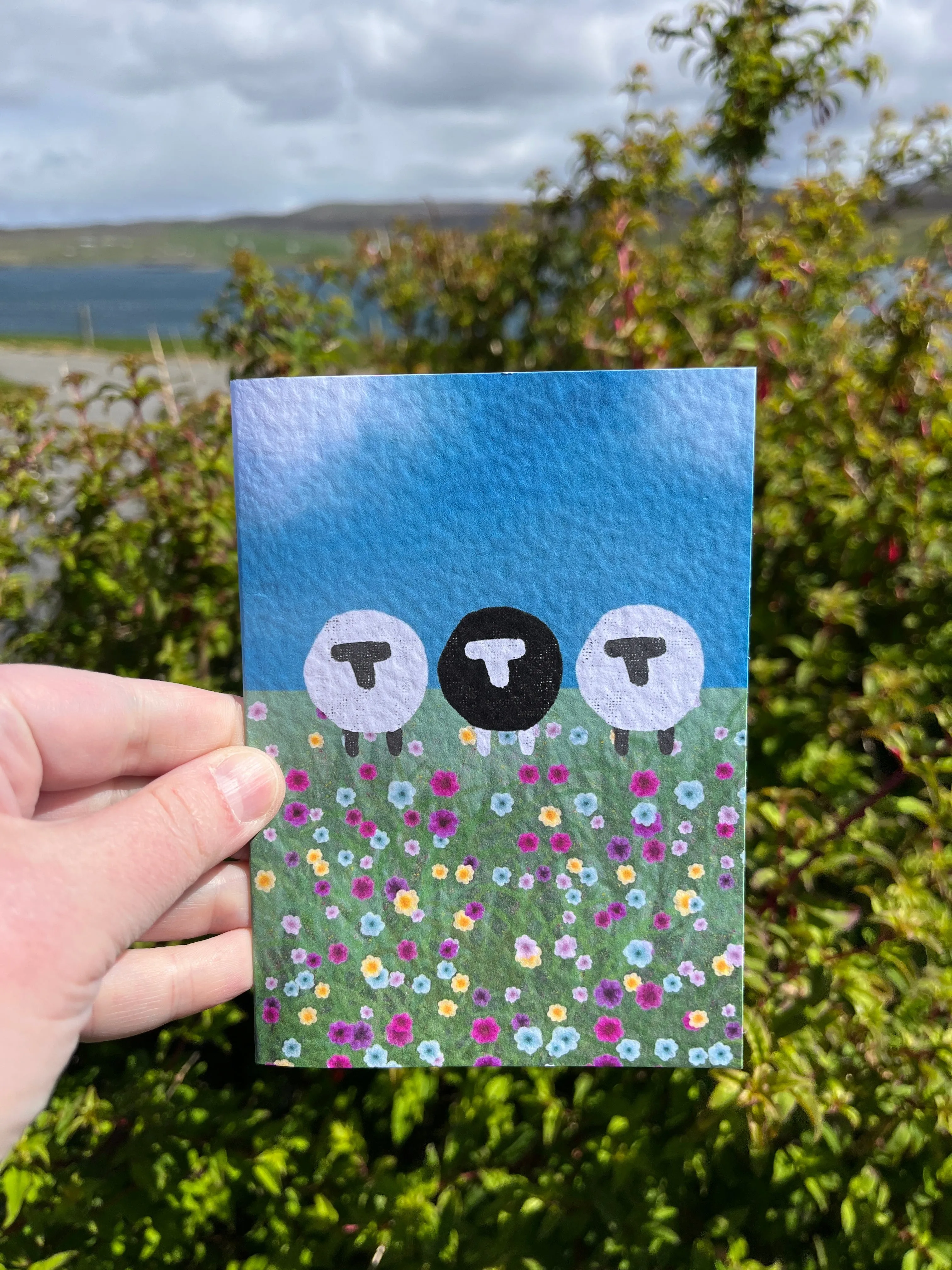 Greetings Card | Sheep - Personalised Birthday Card, Anniversary Card, Valentines Card
