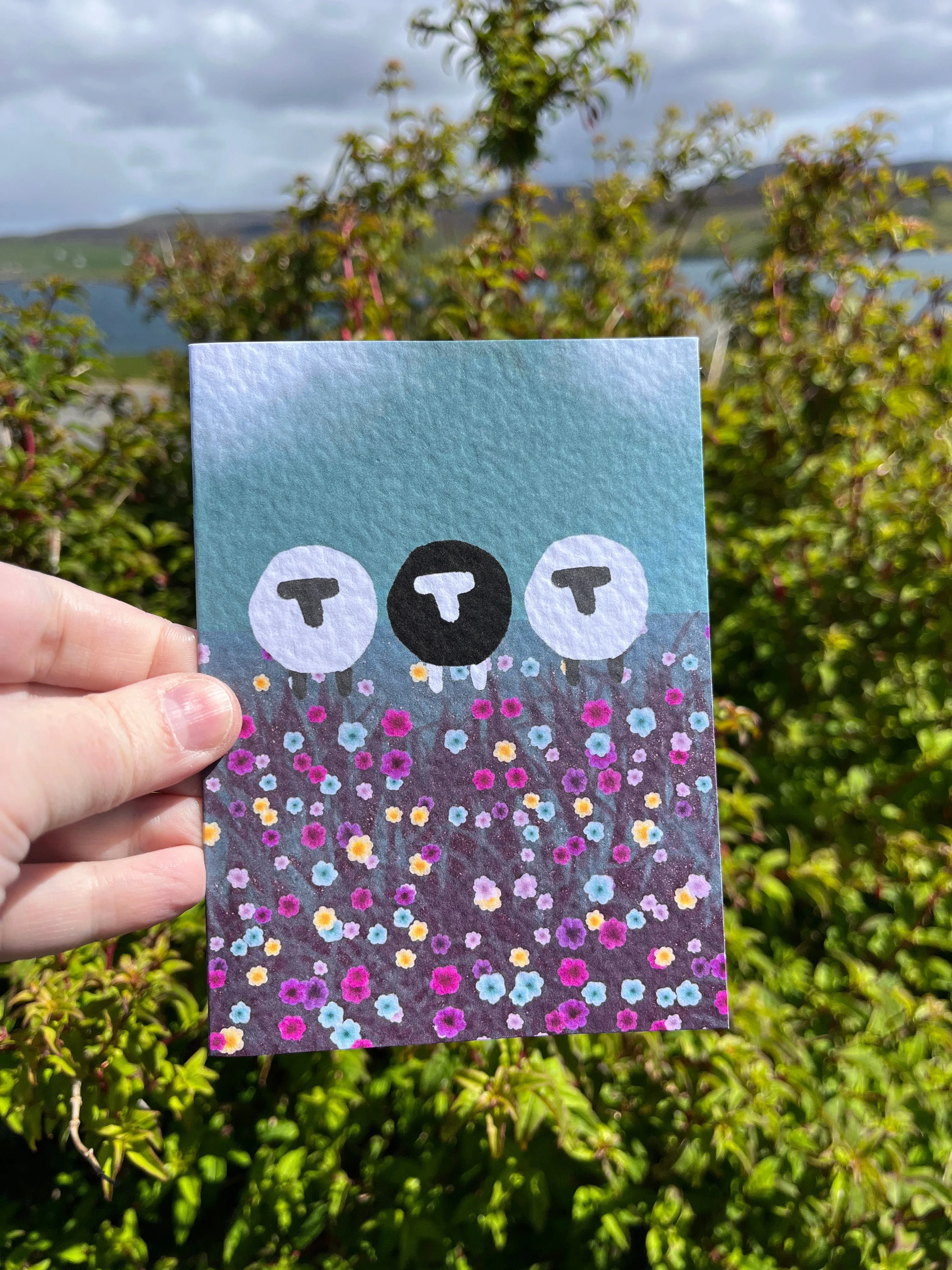 Greetings Card | Sheep - Personalised Birthday Card, Anniversary Card, Valentines Card