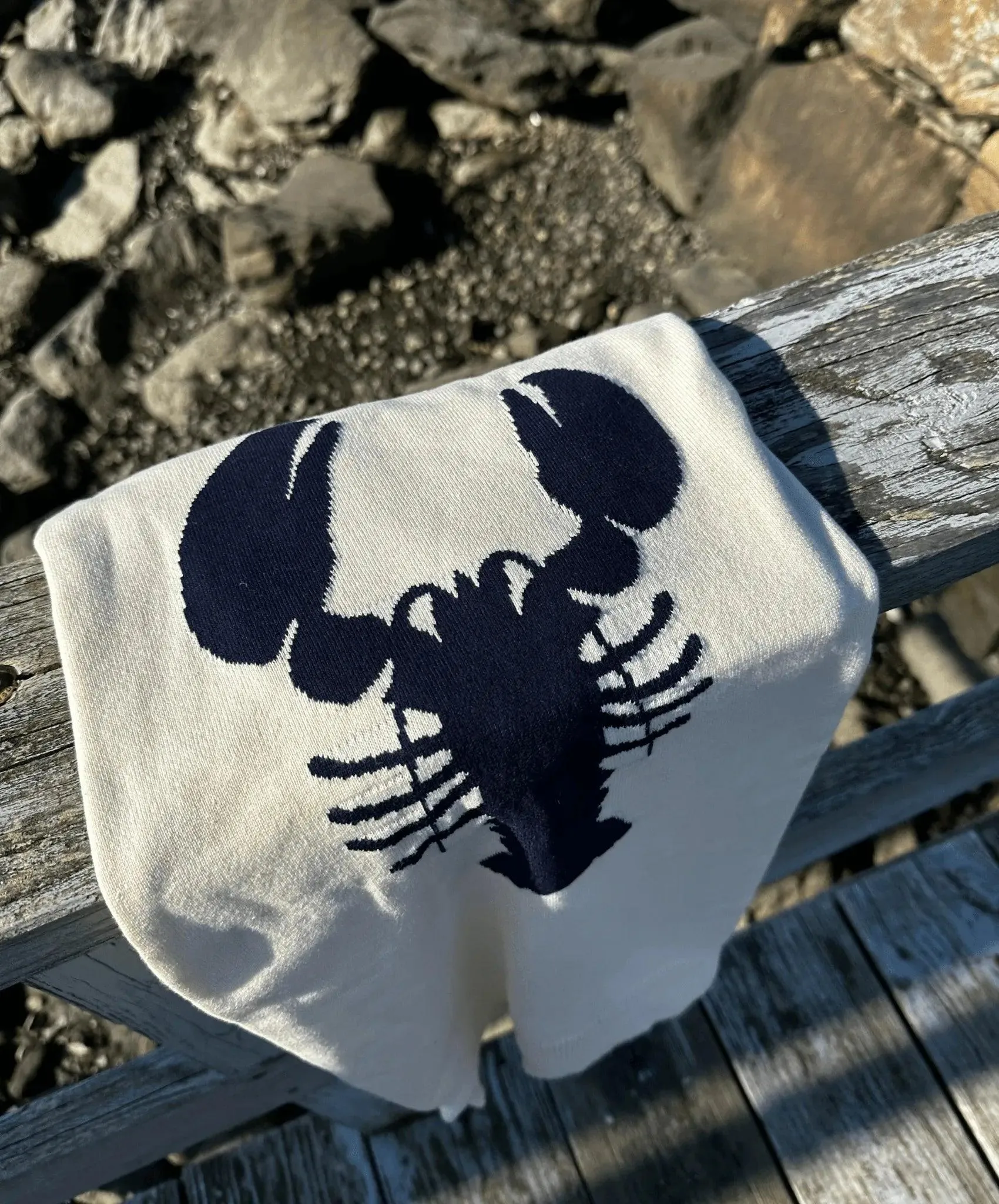Hadley Navy Sweater with Red Lobster Design