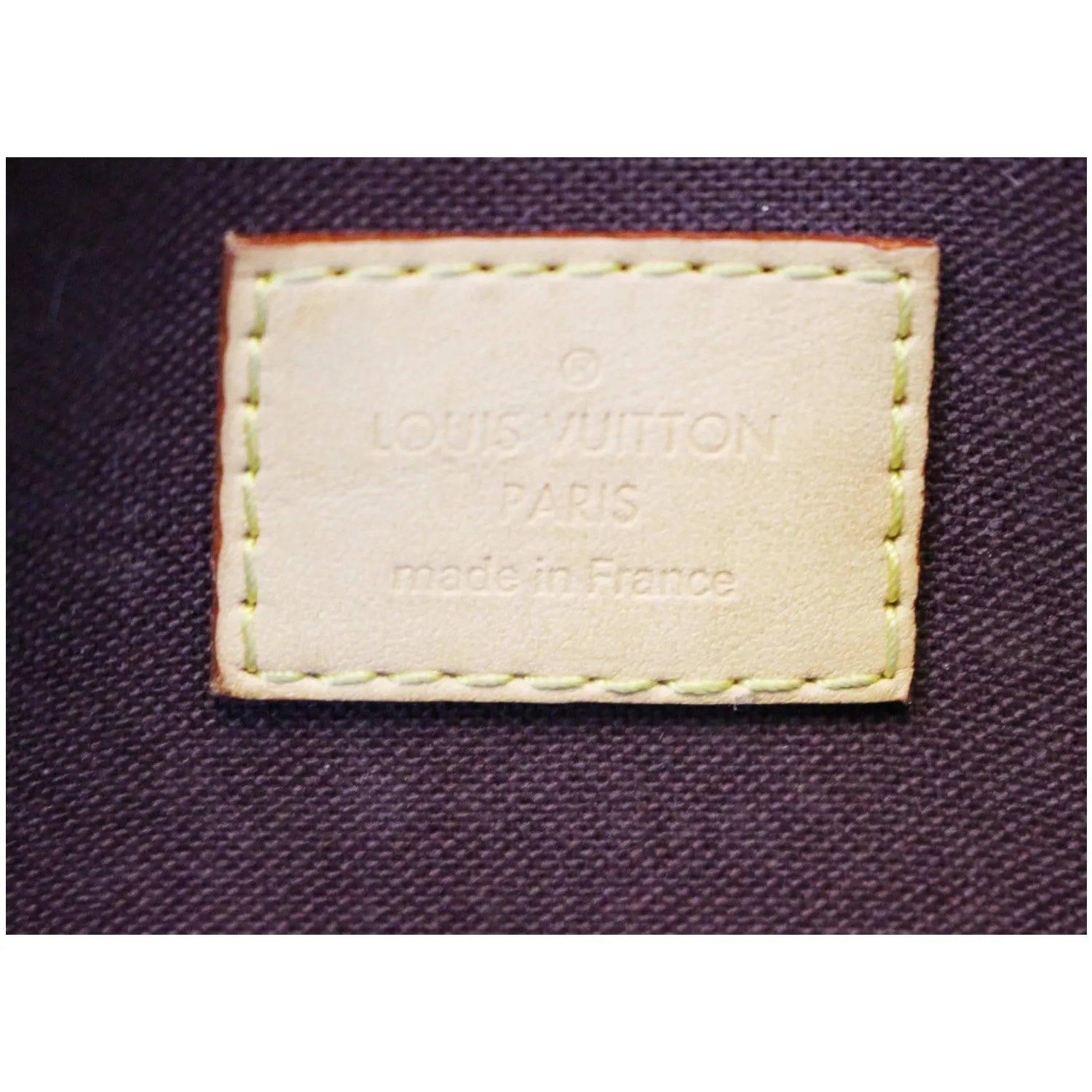 LOUIS VUITTON Favorite MM Monogram Canvas Crossbody Bag