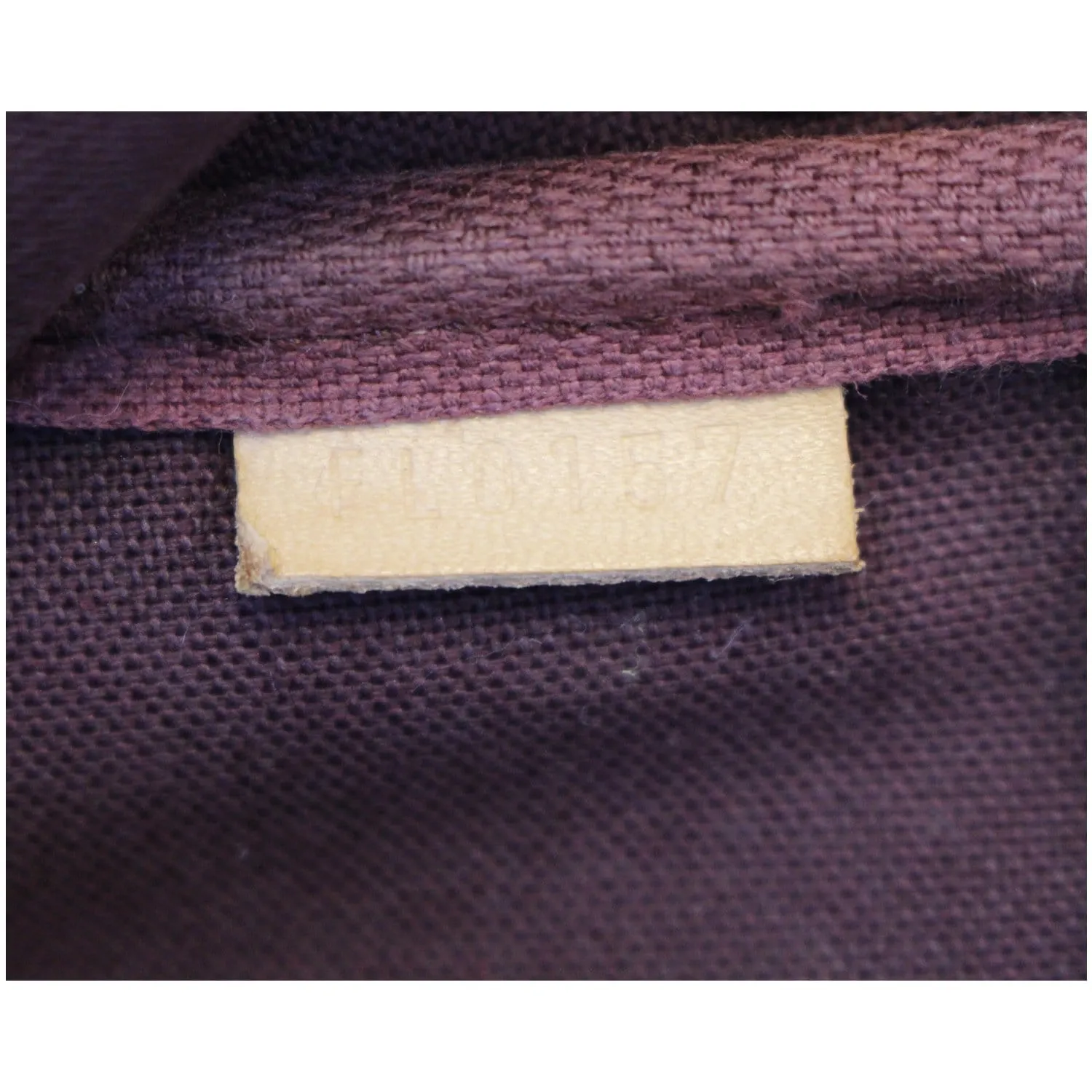 LOUIS VUITTON Favorite MM Monogram Canvas Crossbody Bag