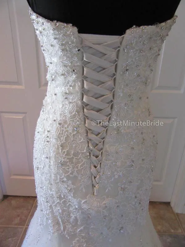 Sophia Tolli Amira Y11625