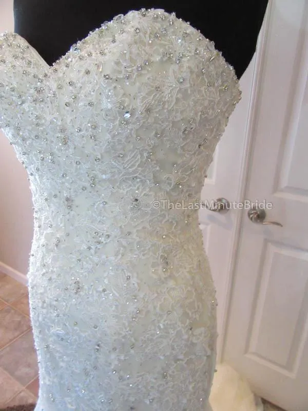 Sophia Tolli Amira Y11625