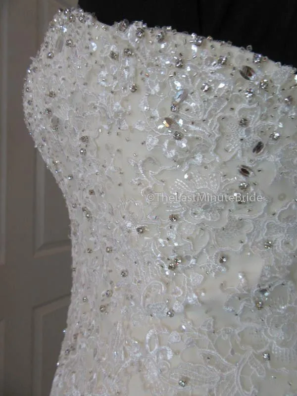 Sophia Tolli Amira Y11625