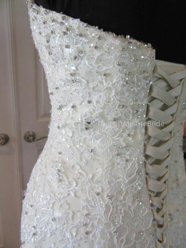 Sophia Tolli Amira Y11625