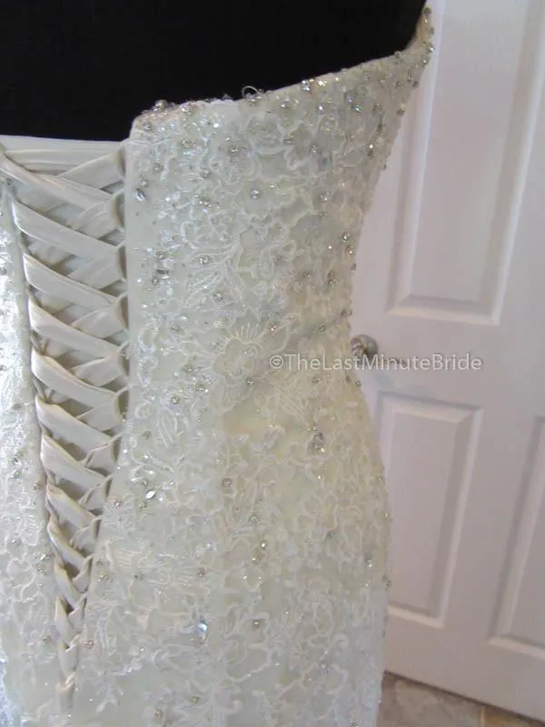 Sophia Tolli Amira Y11625