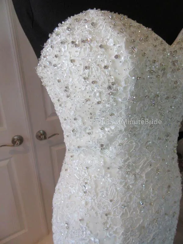 Sophia Tolli Amira Y11625