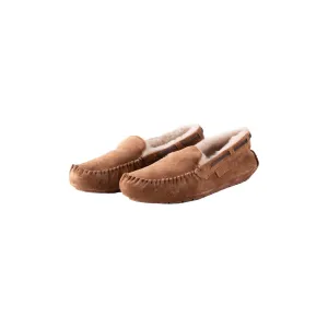 Steffo Slipper, Chestnut