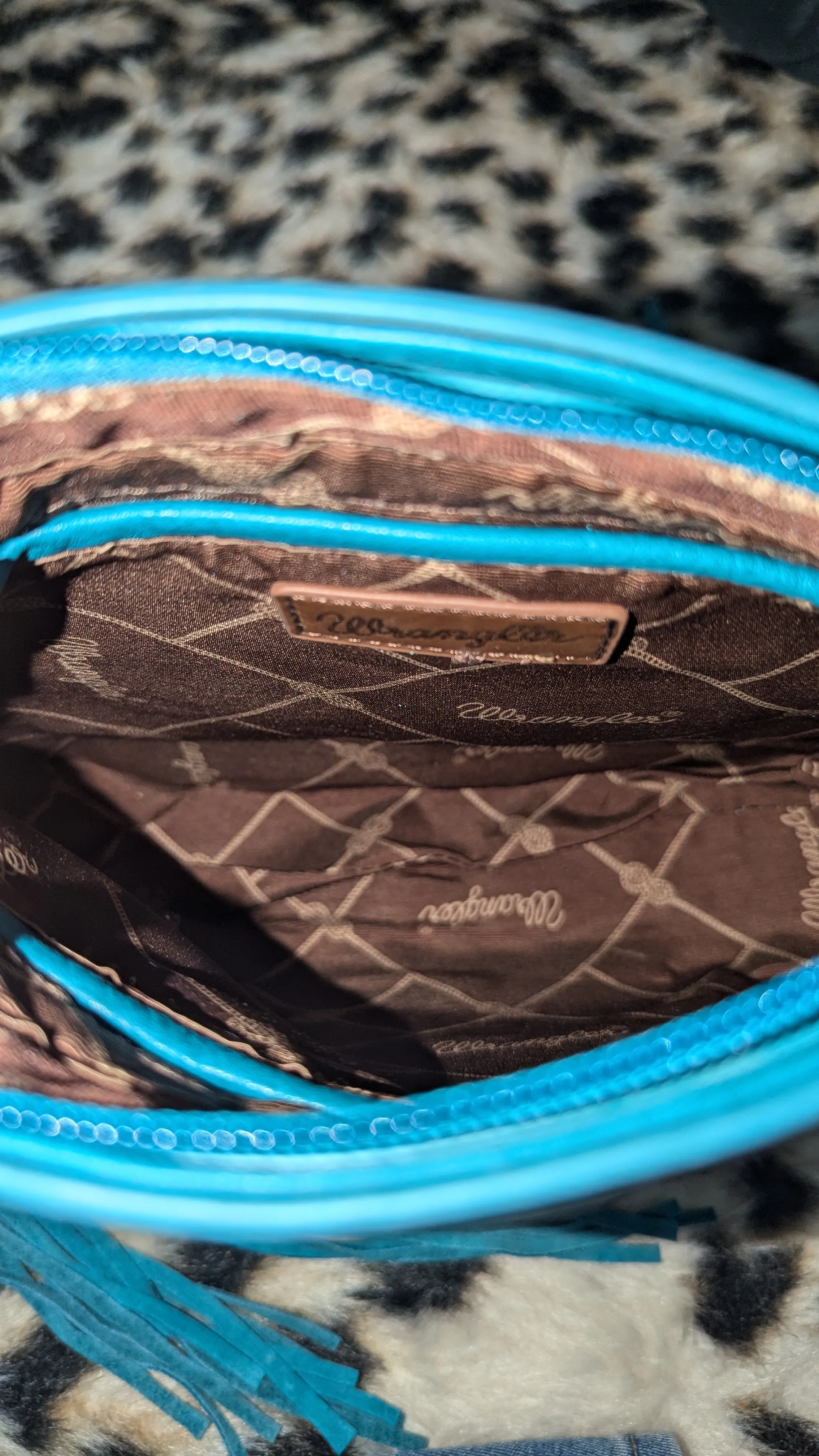 Teal Blaze Tassel Purse